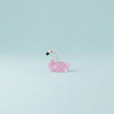 Birds & Ducks