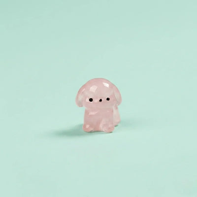 Pets & Puppies
