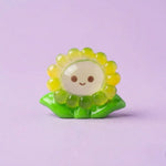 Miniature Glow Sunflower Assorted(1pc)