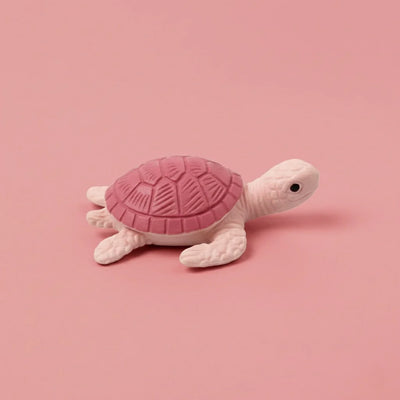 Miniature Turtle Assorted (1pc)