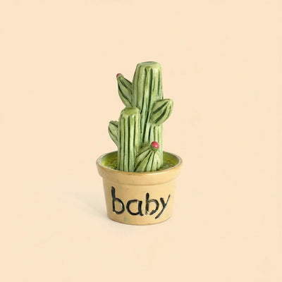 Miniature Cactus Assorted (1pc)