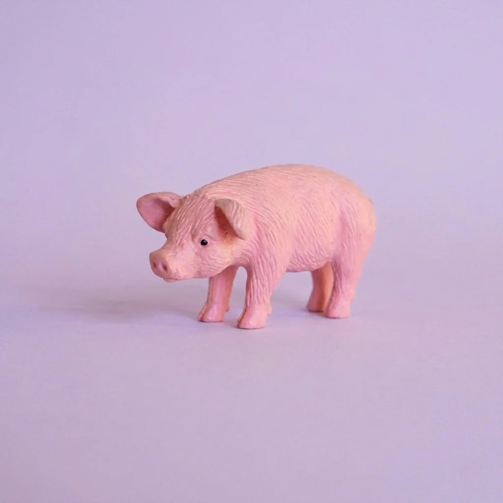 Miniature Garden Pig Assorted (1pc)