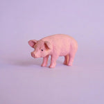 Miniature Garden Pig Assorted (1pc)