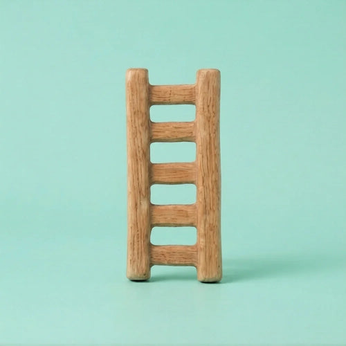 Miniature Ladder Assorted (1pc)