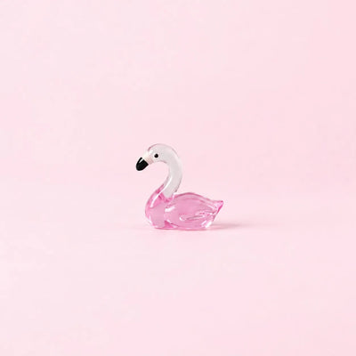 Birds & Ducks